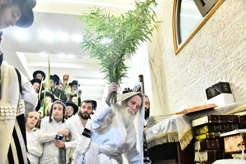 שוקי לרר