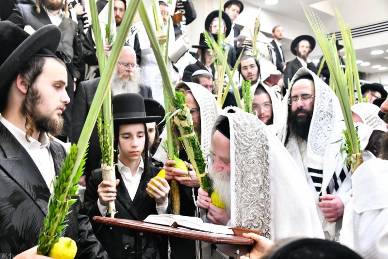 שוקי לרר