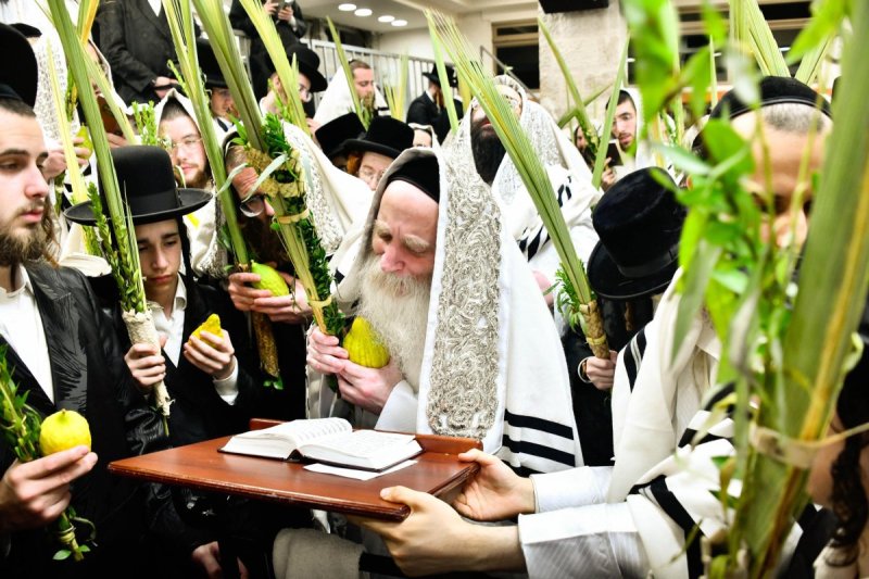 שוקי לרר