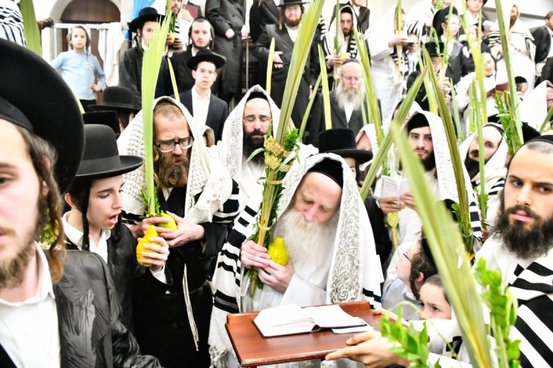שוקי לרר