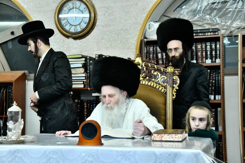 שוקי לרר