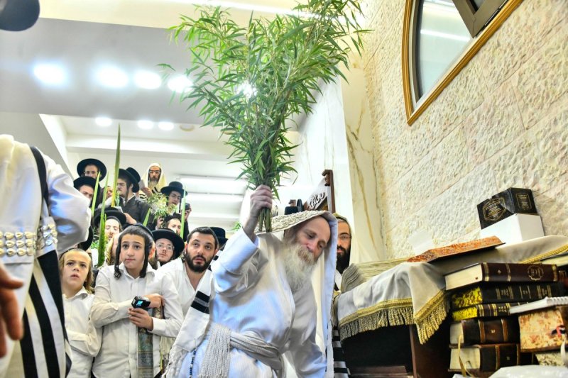 שוקי לרר