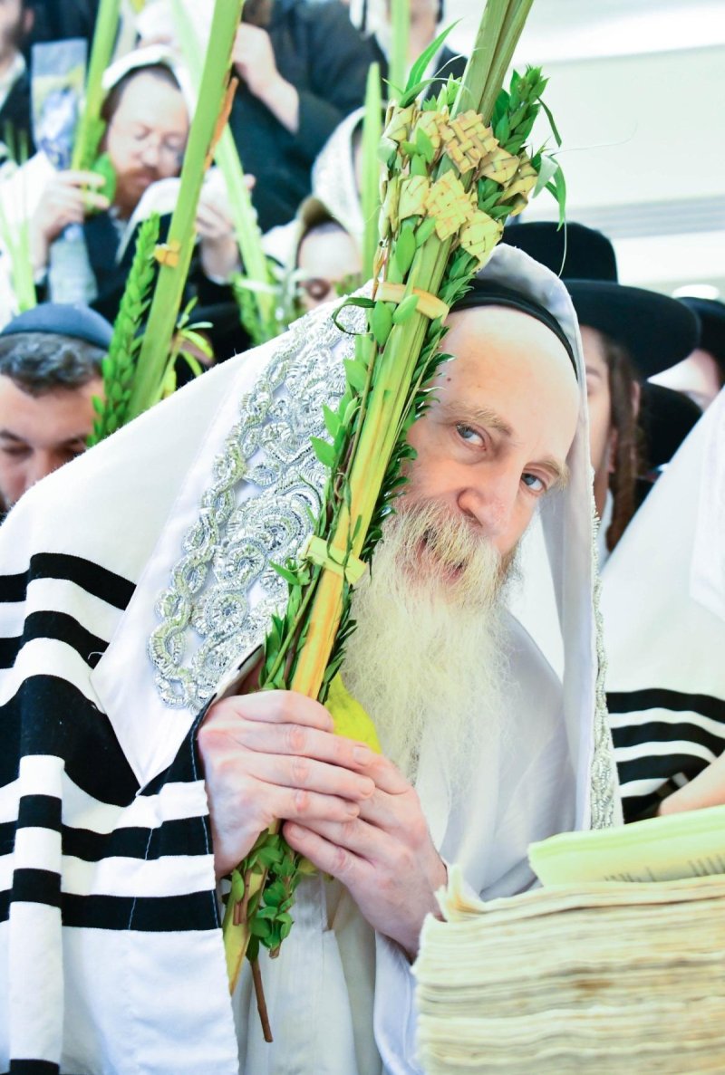 שוקי לרר
