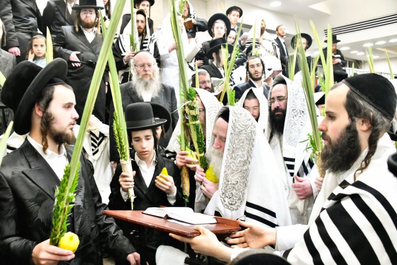 שוקי לרר