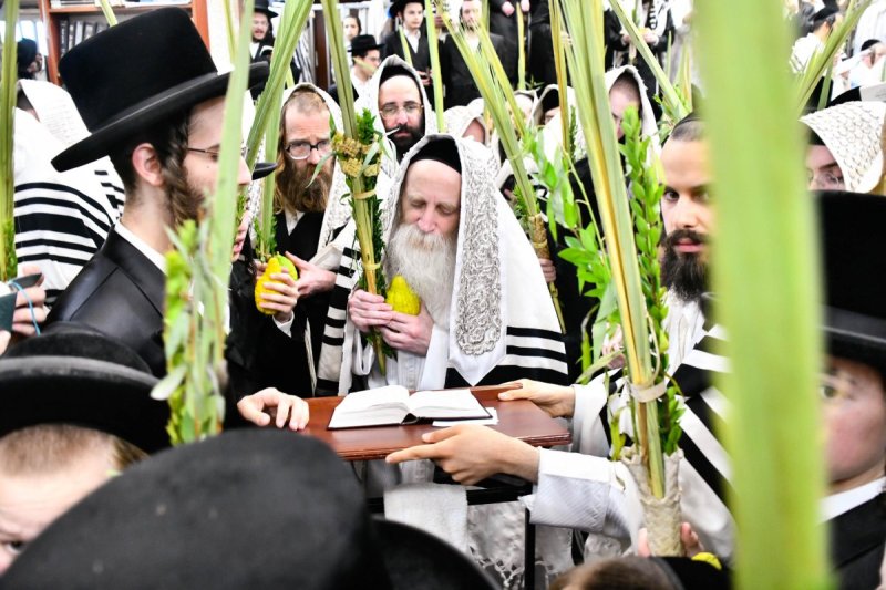שוקי לרר
