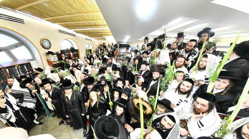 שוקי לרר