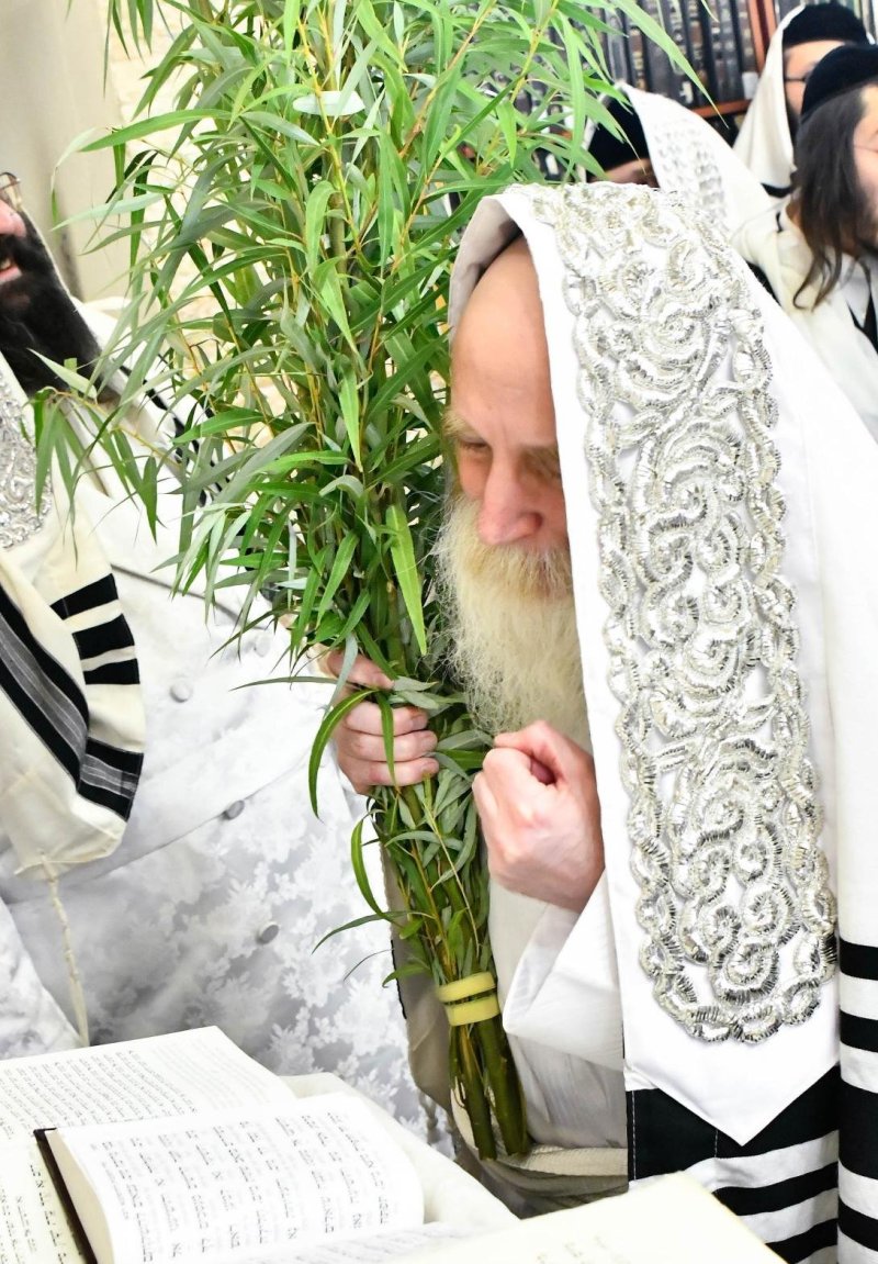שוקי לרר