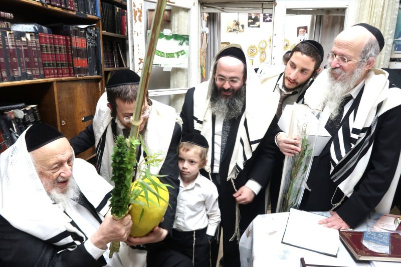 שוקי לרר