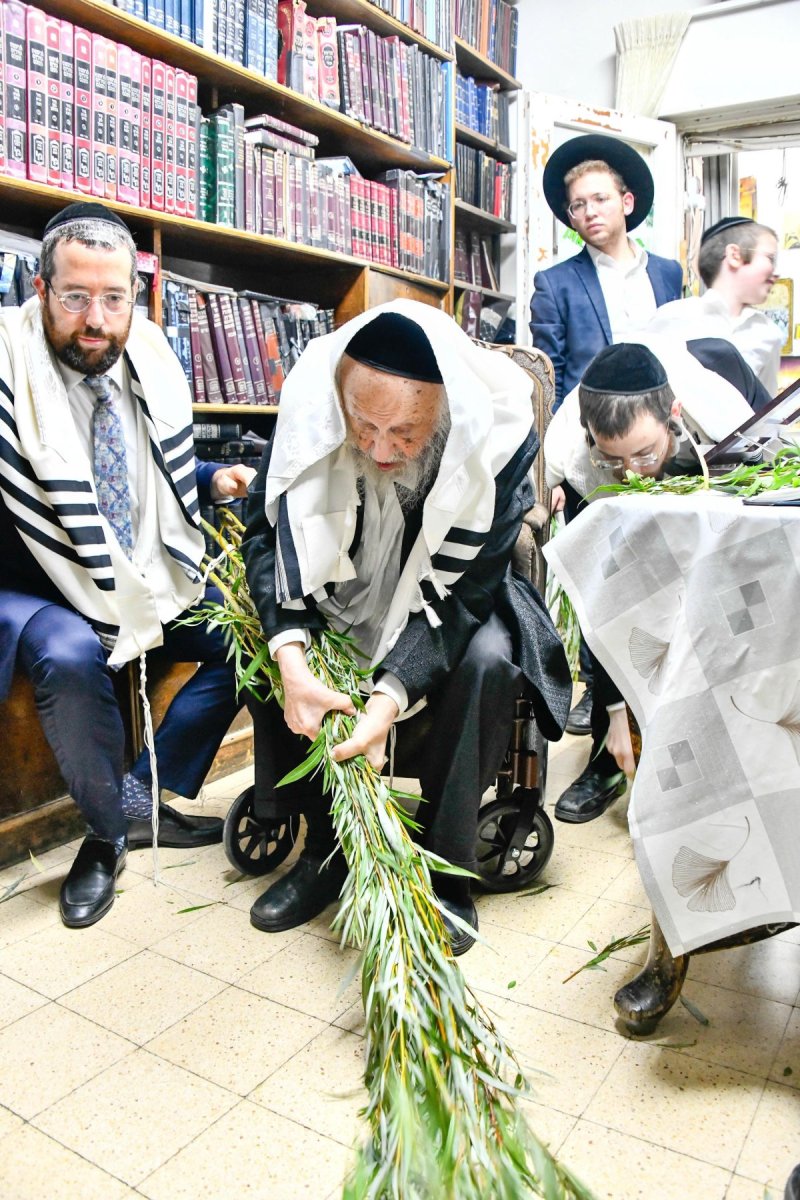 שוקי לרר