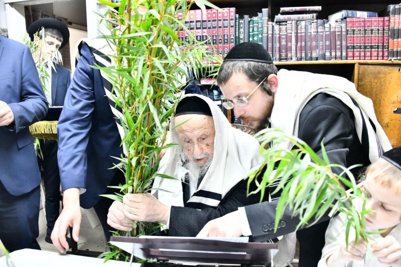 שוקי לרר