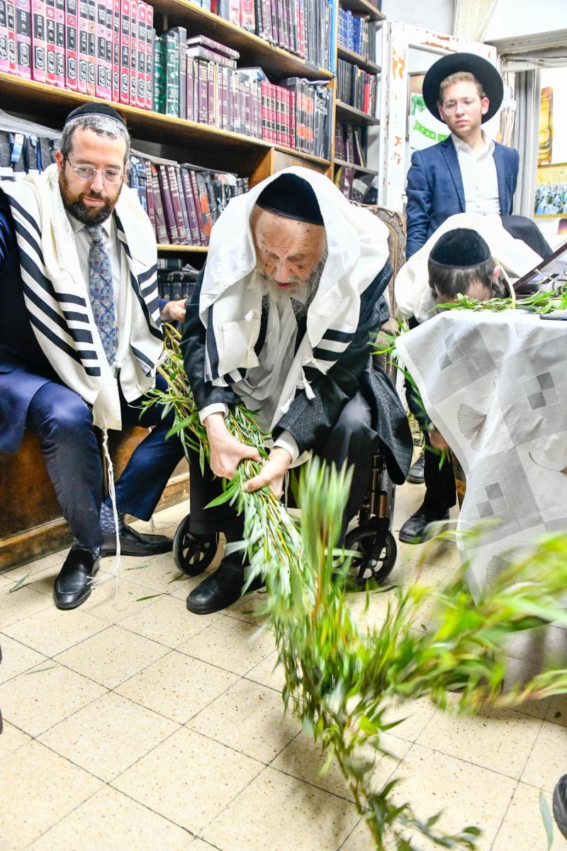 שוקי לרר