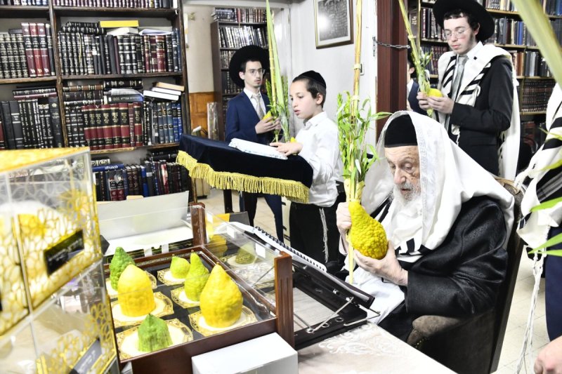 שוקי לרר