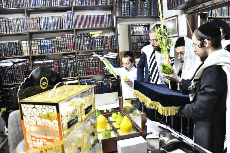 שוקי לרר