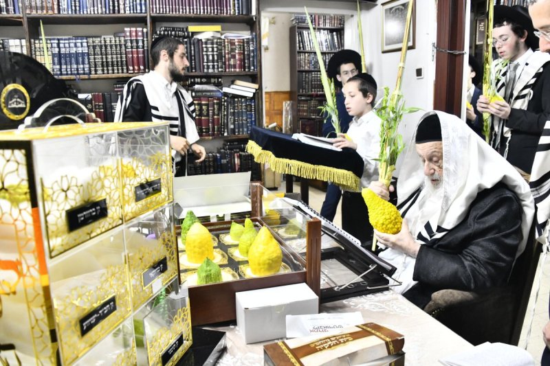 שוקי לרר