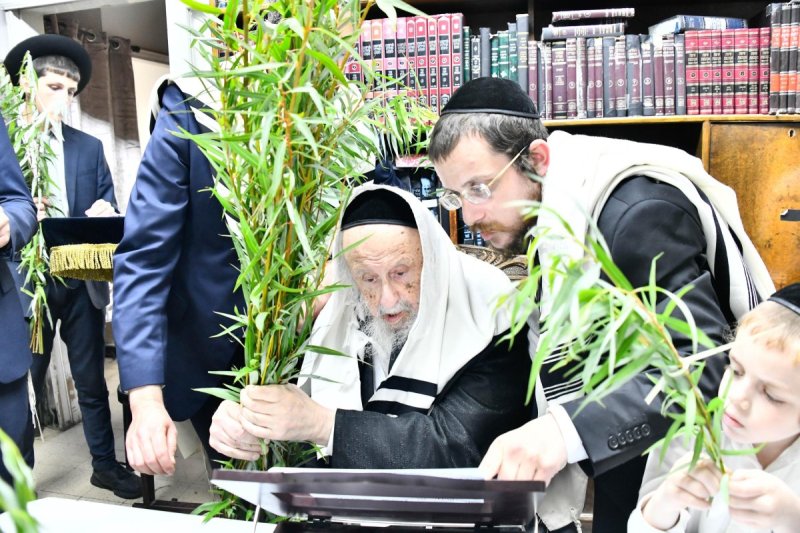 שוקי לרר