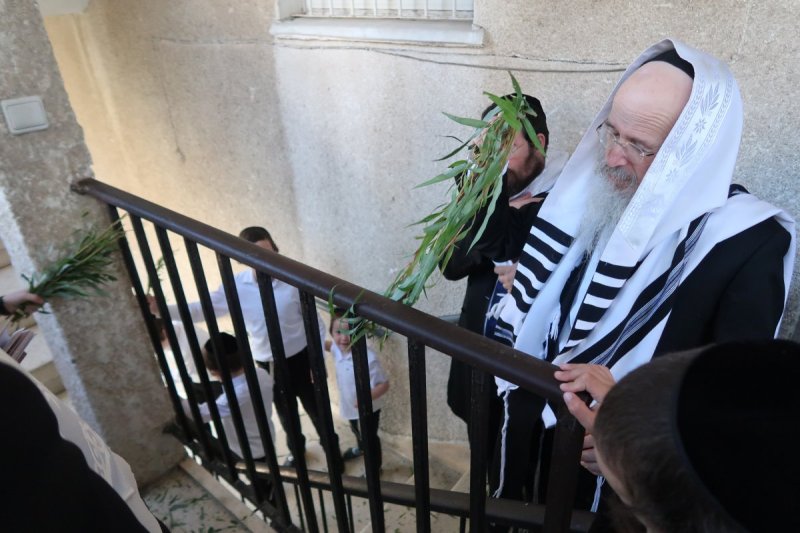 שוקי לרר
