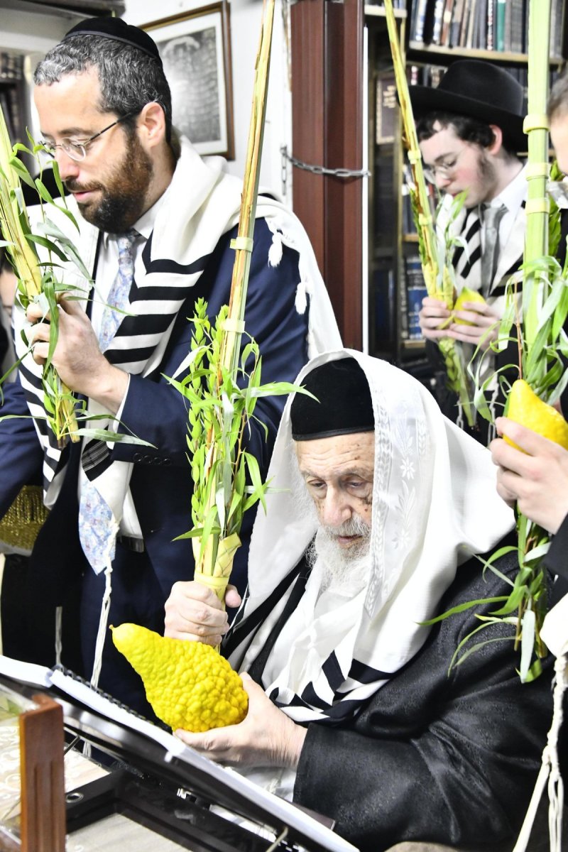 שוקי לרר