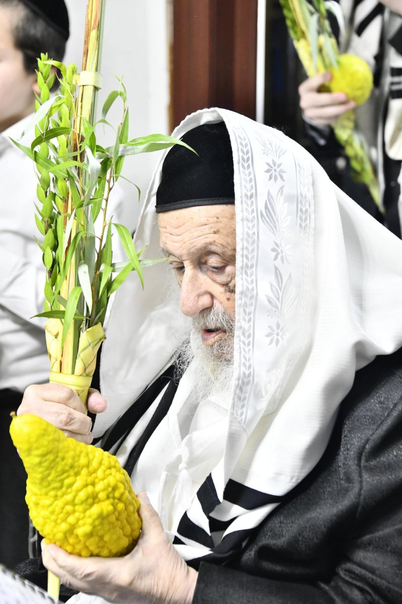 שוקי לרר