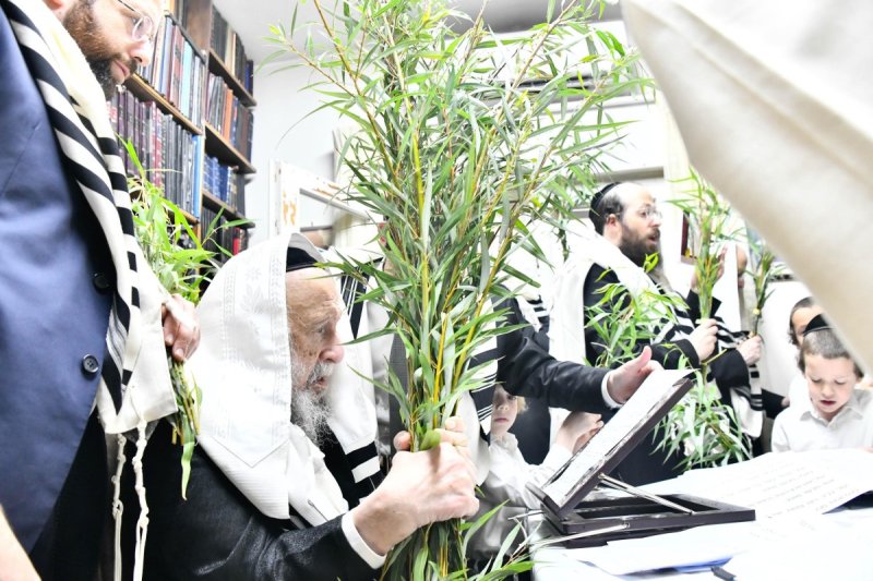 שוקי לרר