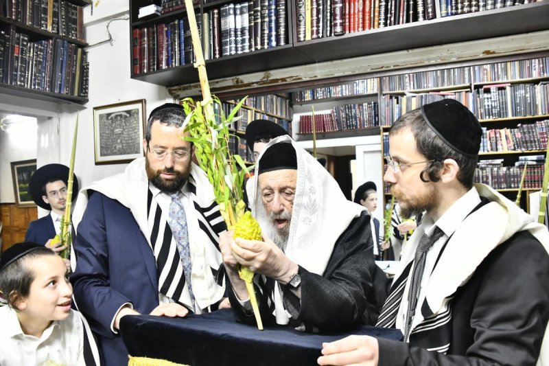 שוקי לרר