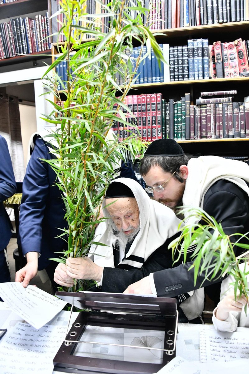 שוקי לרר
