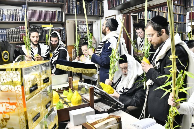 שוקי לרר
