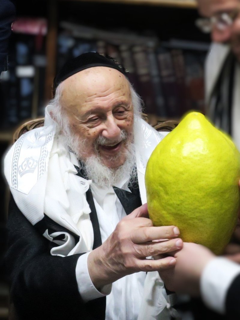שוקי לרר