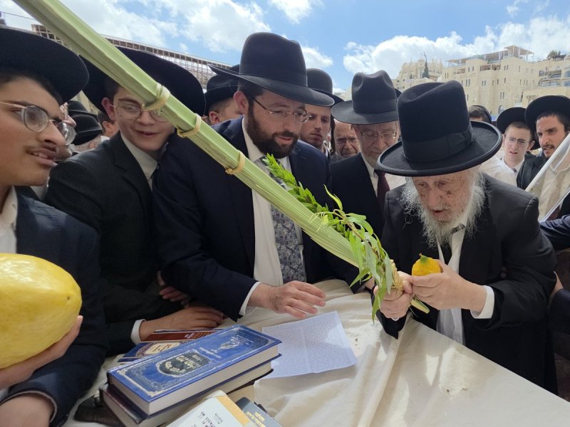 שוקי לרר