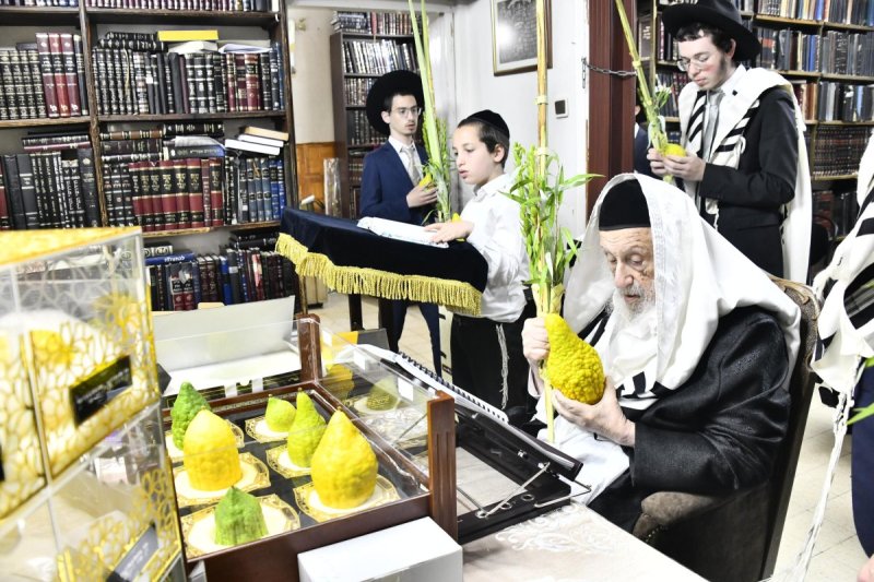 שוקי לרר