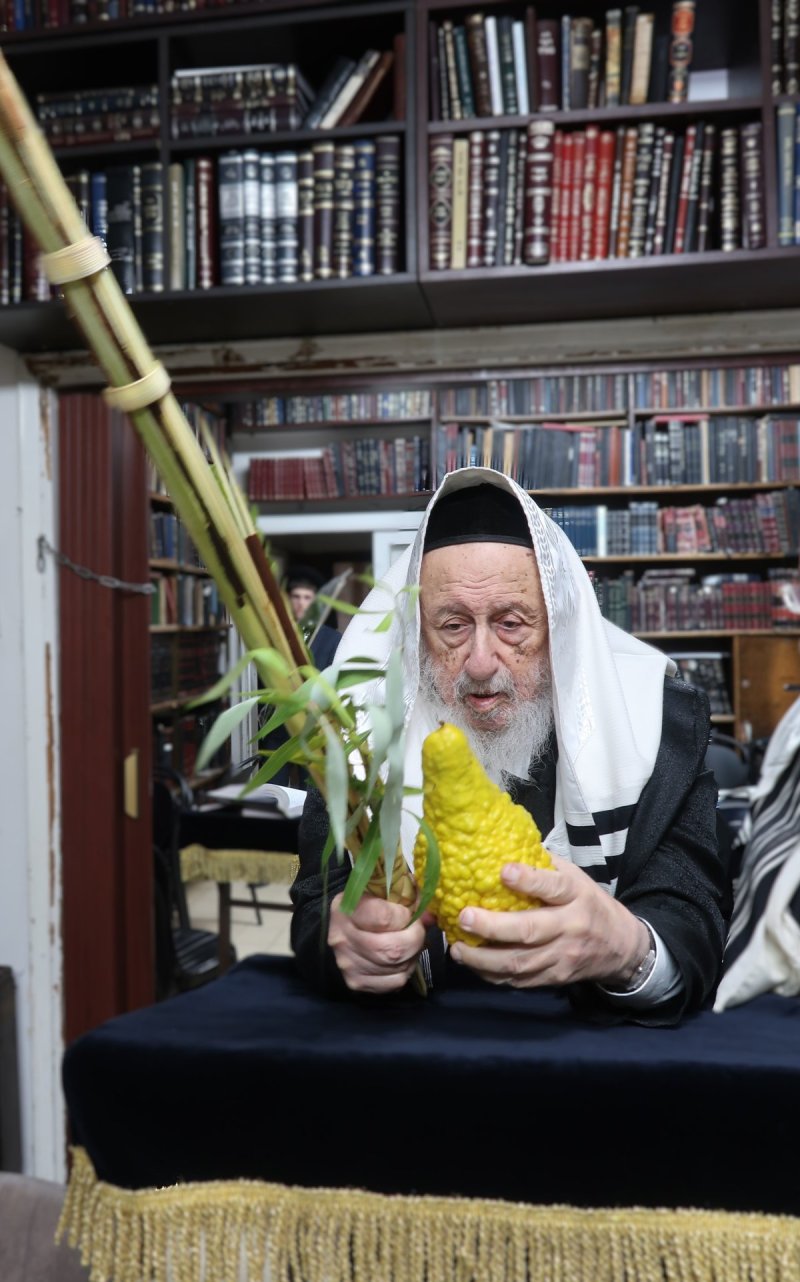 שוקי לרר