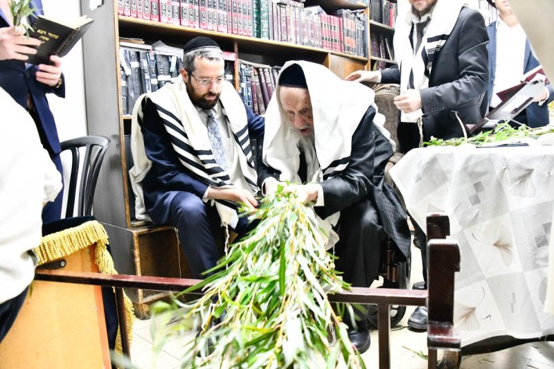 שוקי לרר