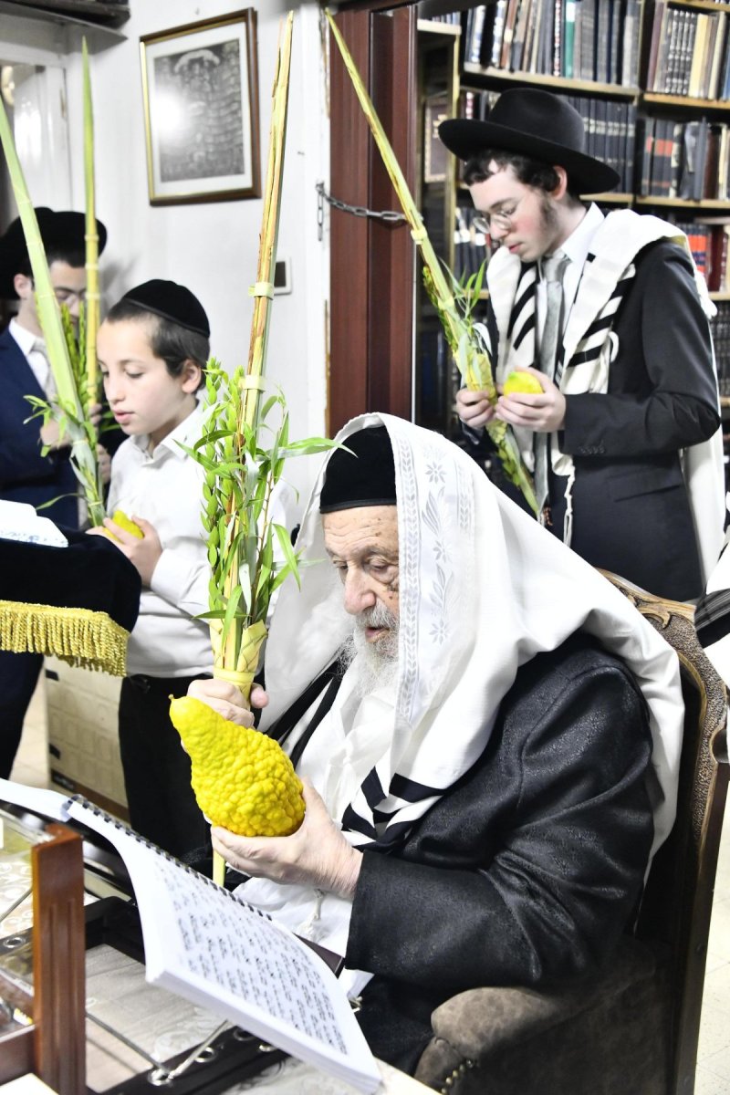 שוקי לרר