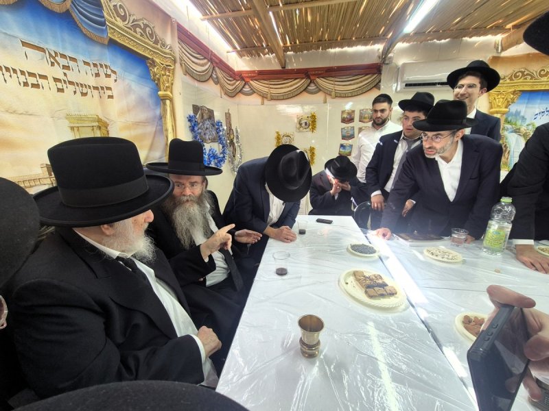 שוקי לרר