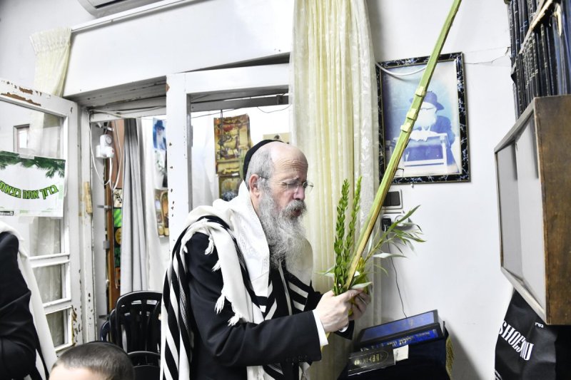שוקי לרר