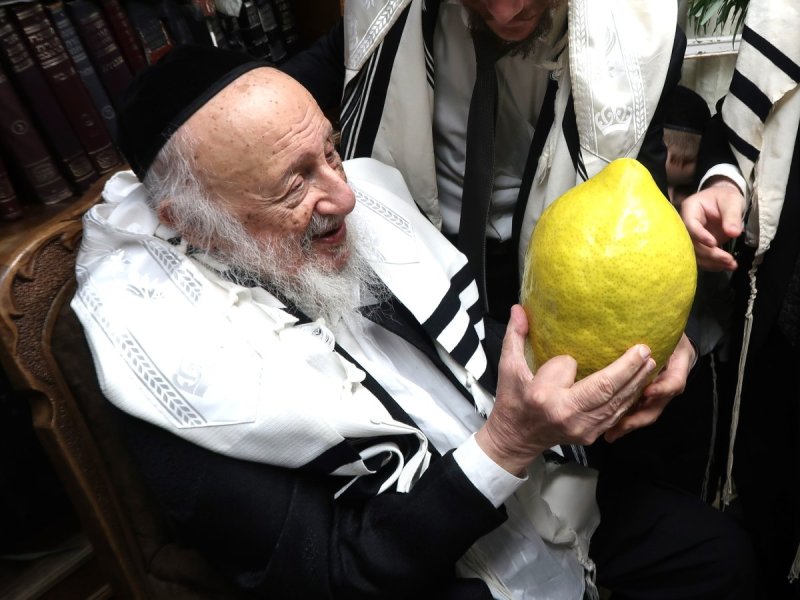 שוקי לרר