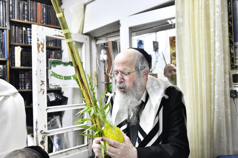 שוקי לרר