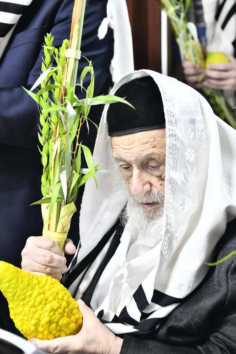 שוקי לרר