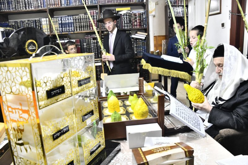 שוקי לרר