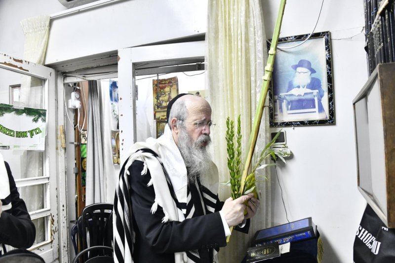 שוקי לרר