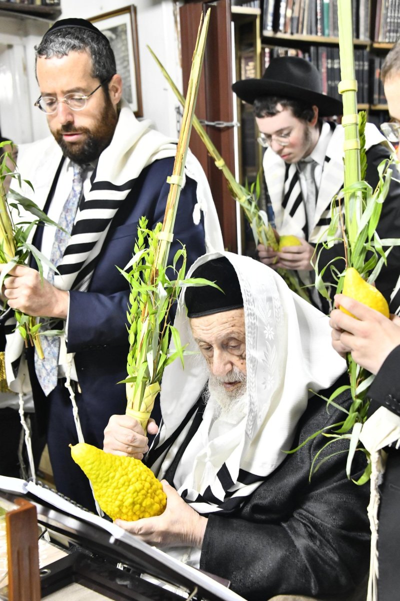 שוקי לרר