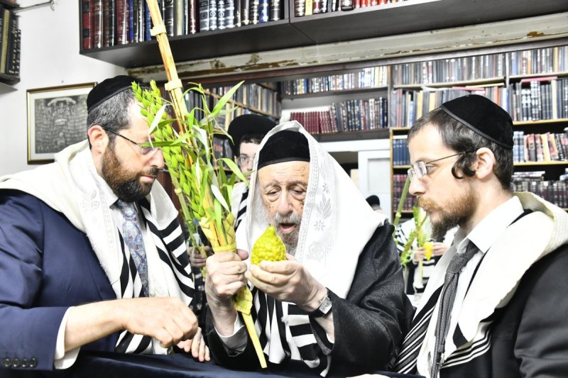 שוקי לרר