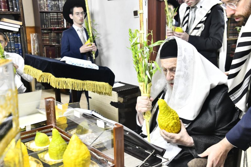 שוקי לרר