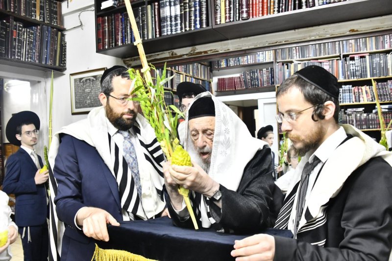 שוקי לרר