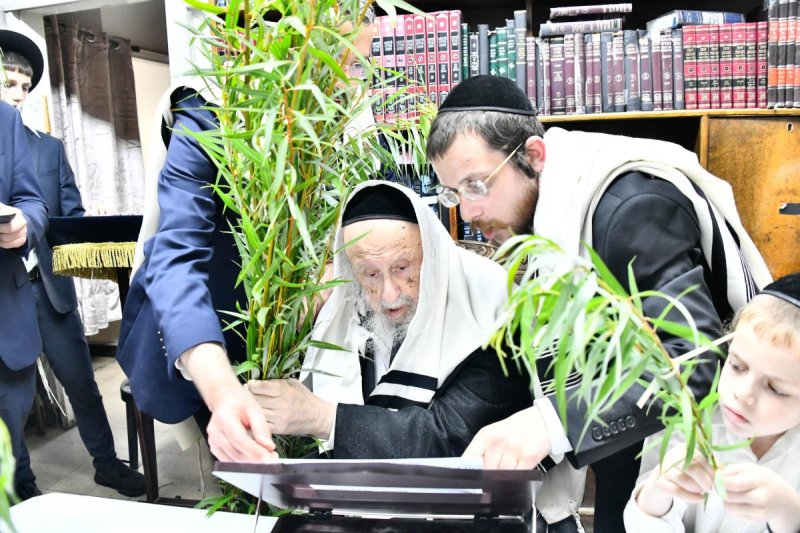 שוקי לרר