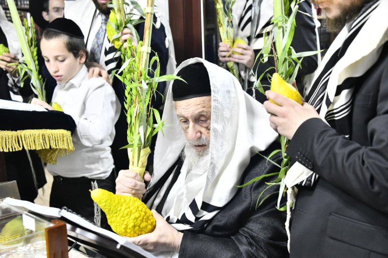 שוקי לרר