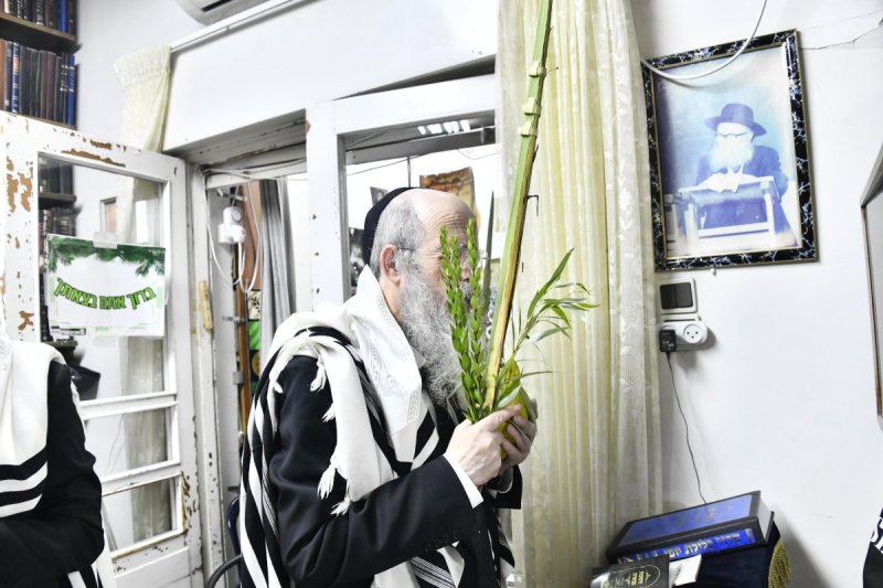 שוקי לרר