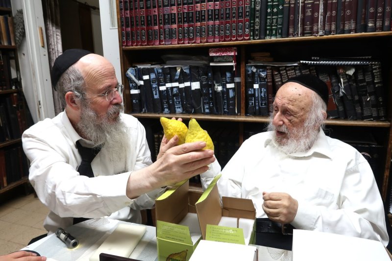 שוקי לרר