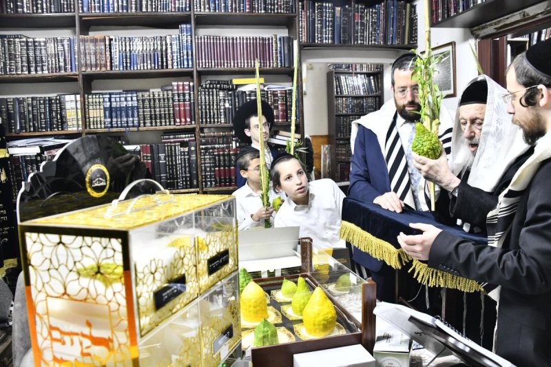 שוקי לרר