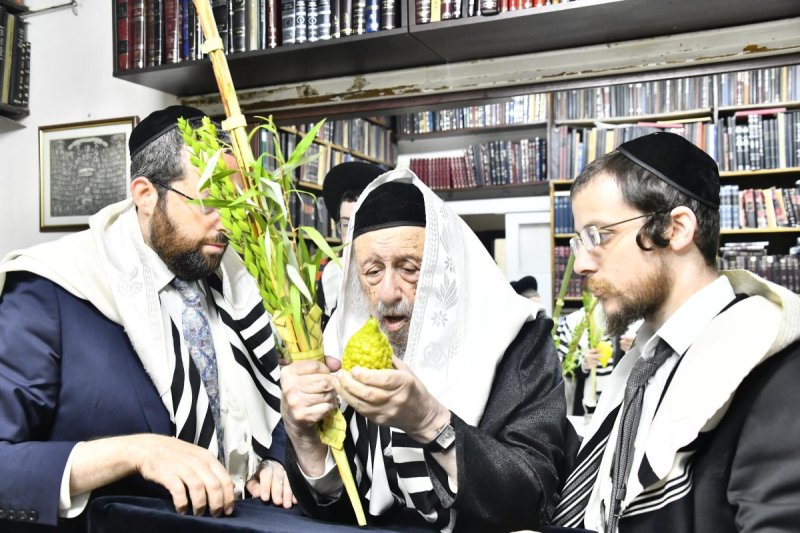 שוקי לרר
