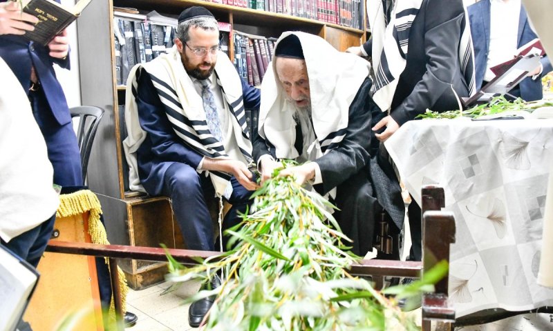 חביבות הד' מינים: סוכות בהיכלו של ראש הישיבה הגרב"ד פוברסקי